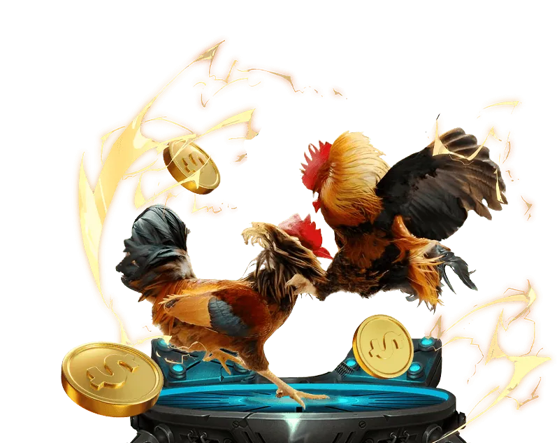 Dịch vụ hỗ trợ khách hàng chuyên nghiệp của AE888